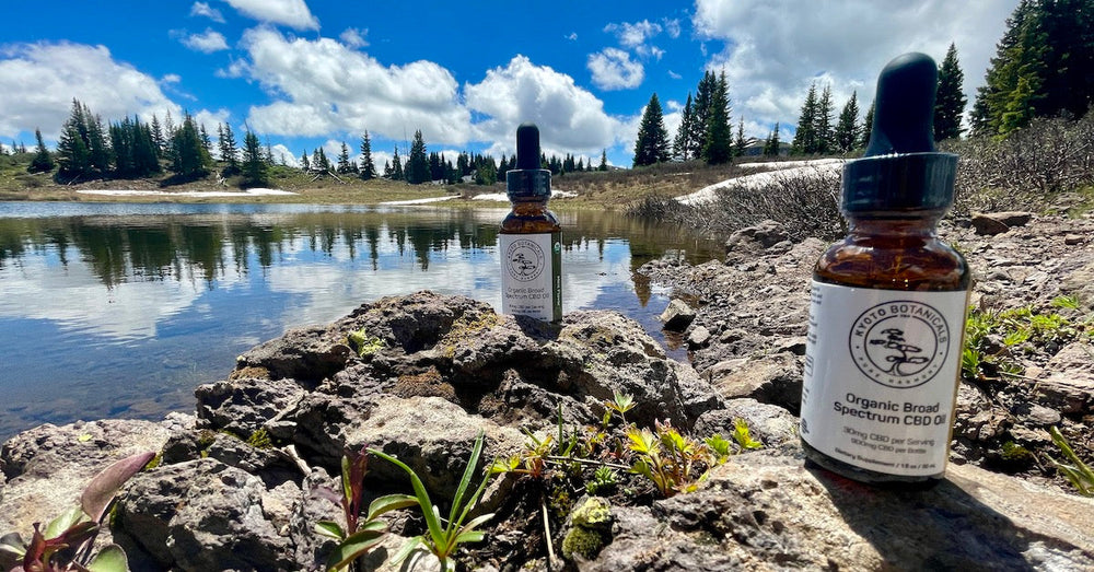 How Organic CBD Oil Tinctures Can Improve Your Daily Health