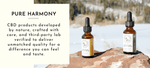 The Essential Guide to Choosing the Best Organic CBD Oil