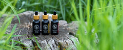 Does CBD Expire? Shelf Life, Potency & Best-By Dates Explained
