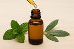 Beginners' Guide to CBD Oil