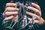 Understanding the Role of MCT Oil in CBD Tinctures