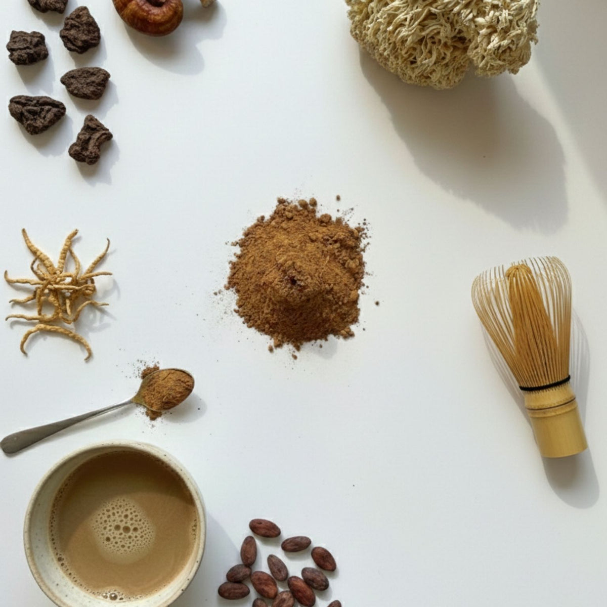 An overhead flatlay of a frothy cup of mushroom cacao brew surrounded by raw ingredients: Lion's Mane, Reishi, Cordyceps, Chaga chunks, whole cacao beans, a spoon of powder, and a bamboo frothing whisk on a clean white background announcing Kyoto Botanicals mushroom brew.