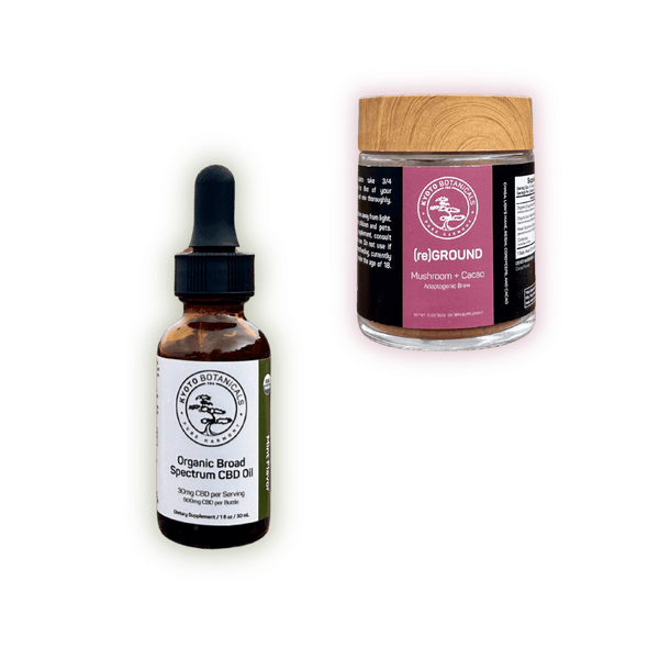 Balance Stack THC-Free peppermint CBD tincture and functional mushroom brew for daily balance — Kyoto Botanicals