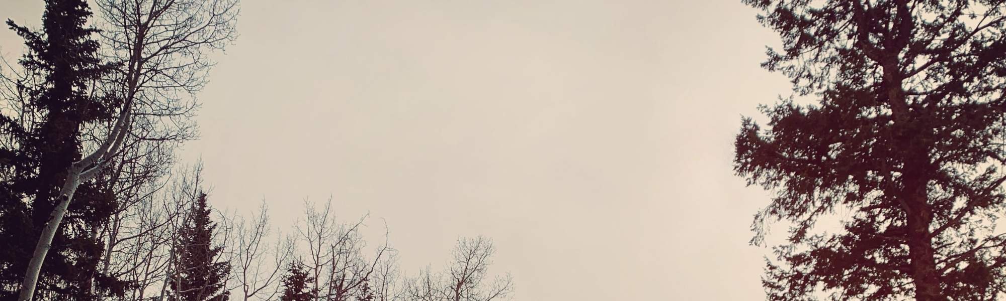 Wellness, Rooted In Nature