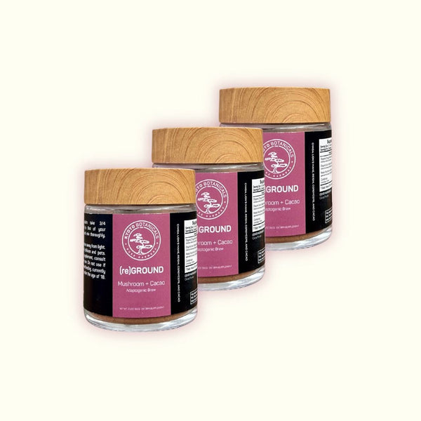 (re)GROUND mushroom and cacao adaptogenic brew 3 jar bundle — Kyoto Botanicals