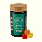 Kyoto Botanicals THC-Free CBD Gummies jar front label